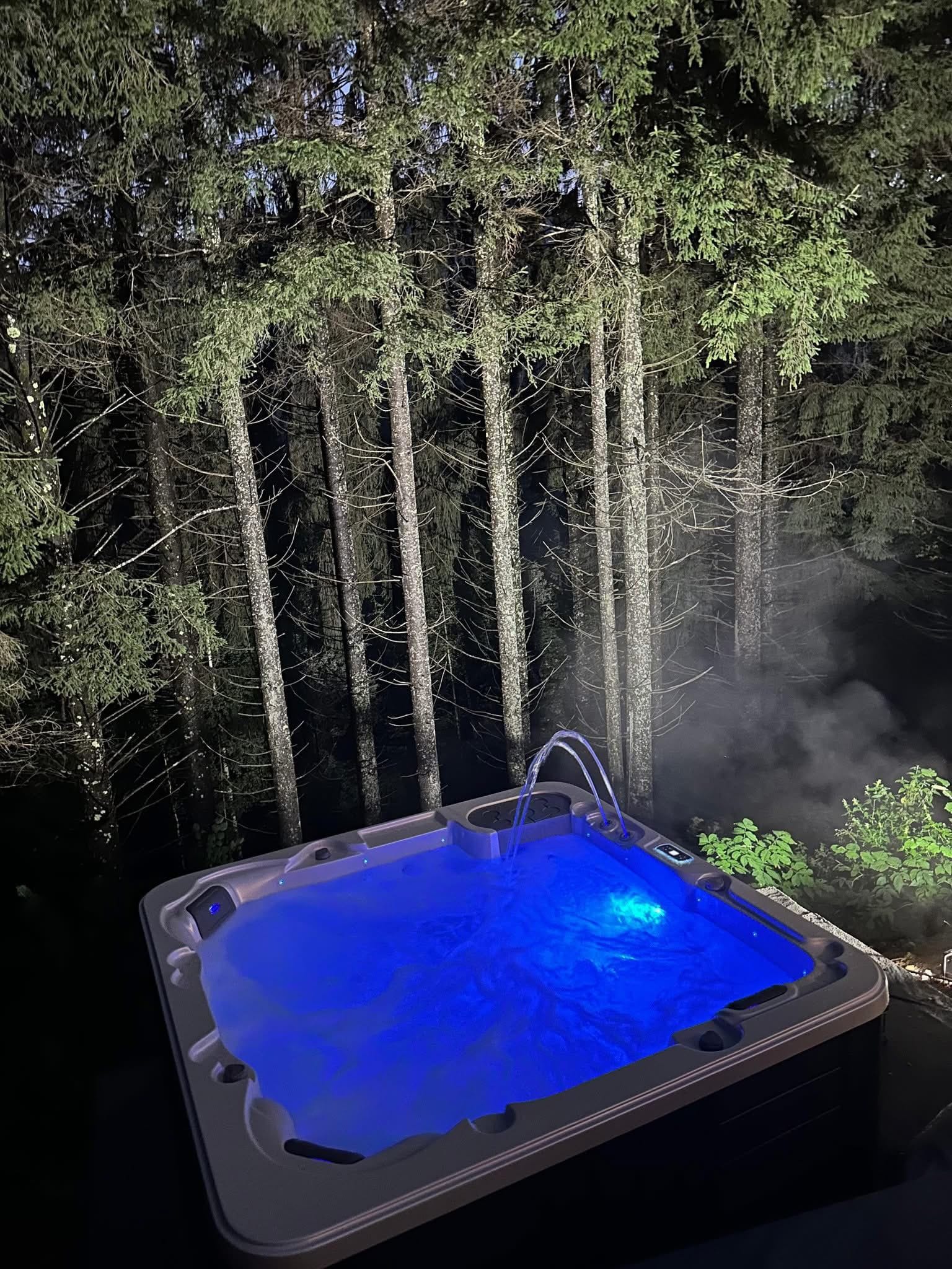 Pine Hill – liniștea din inima munților, născută din visul unei familii care a crezut în echilibru și frumusețe