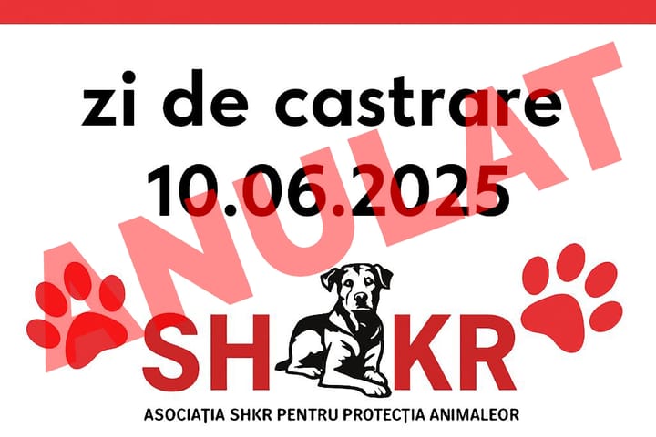 Un paradox îngrijorător: Campania de sterilizare GRATUITĂ, anulată din cauza lipsei de interes